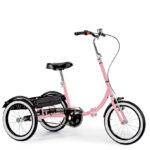 Special Needs Trike for Children and Adults Triciclo 207 Sport Ormesa