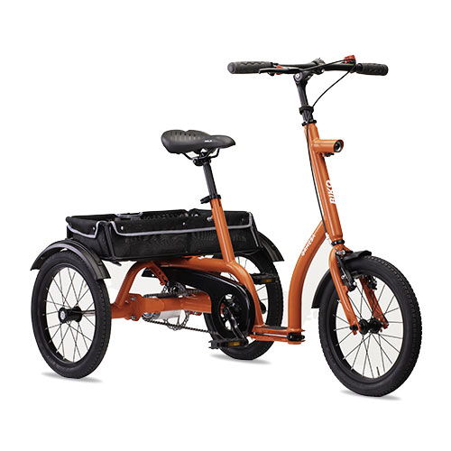 Adaptive Tricycle Biko Ormesa