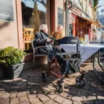 Rollator Torro Drive Devilbiss