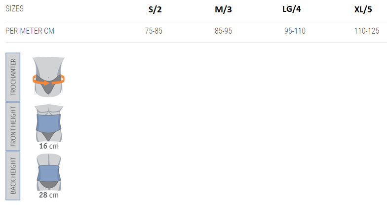 4202_SIZE_CORRECT.png