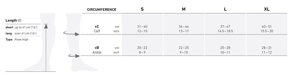 Training_Chart_ddc35daa-540d-4239-9361-6e9f1d1da89b_1024x1024.jpg