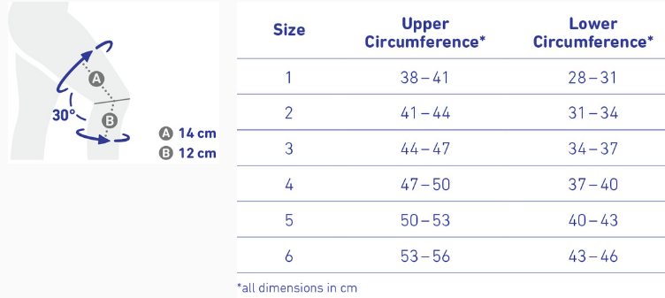 diagram_a3_genutrain.png