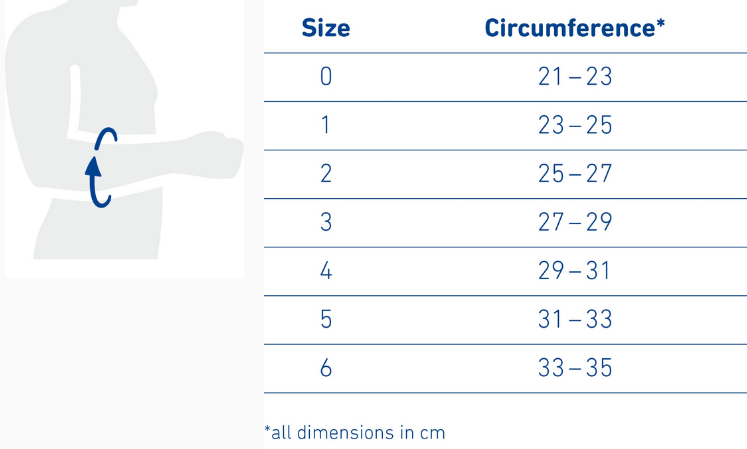 epitrain_dimensions.png