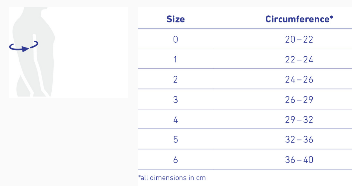 omotrain_s_dimensions.png