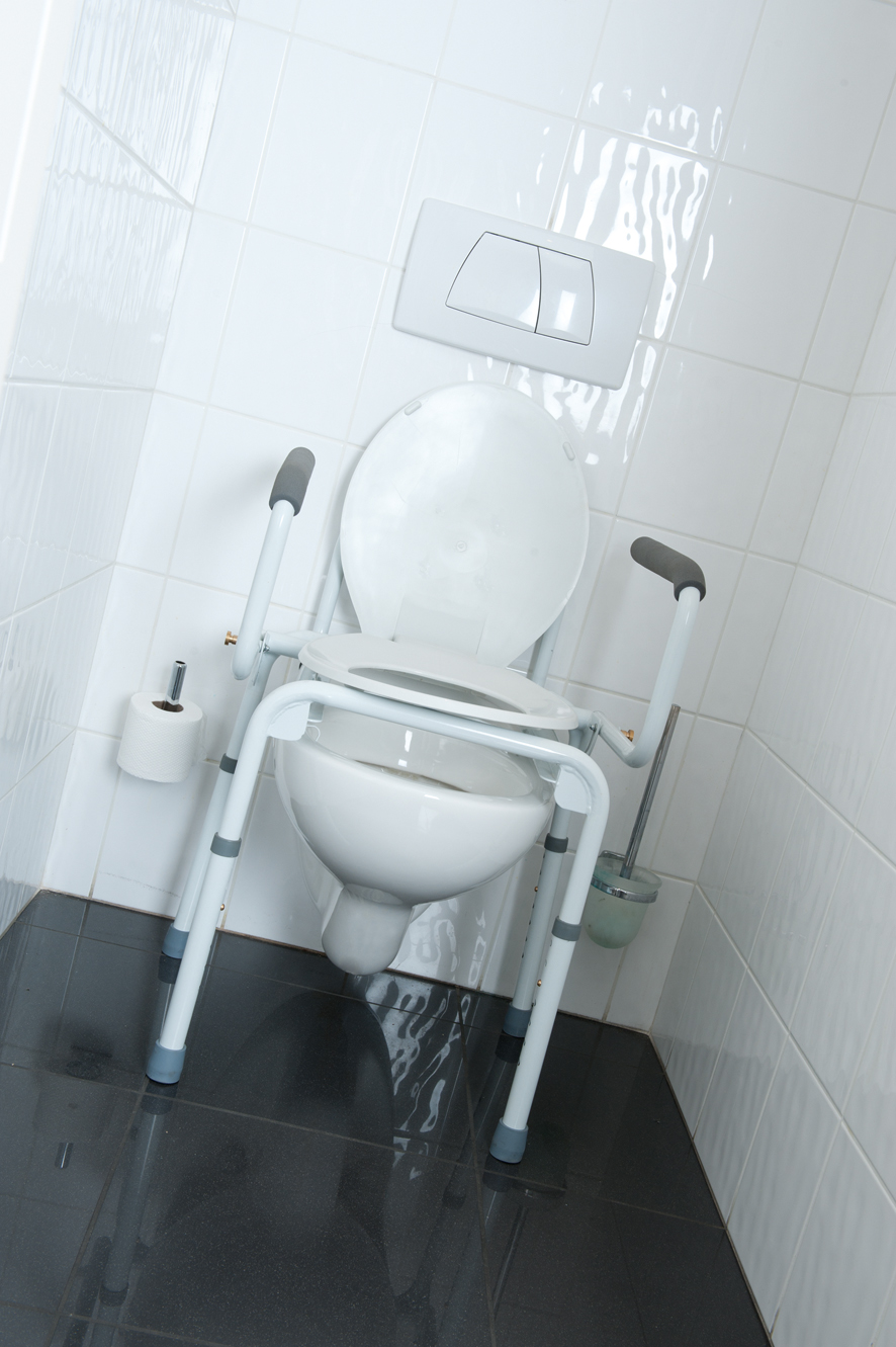 Raised Toilet Seat Frame Stacy Vermeiren